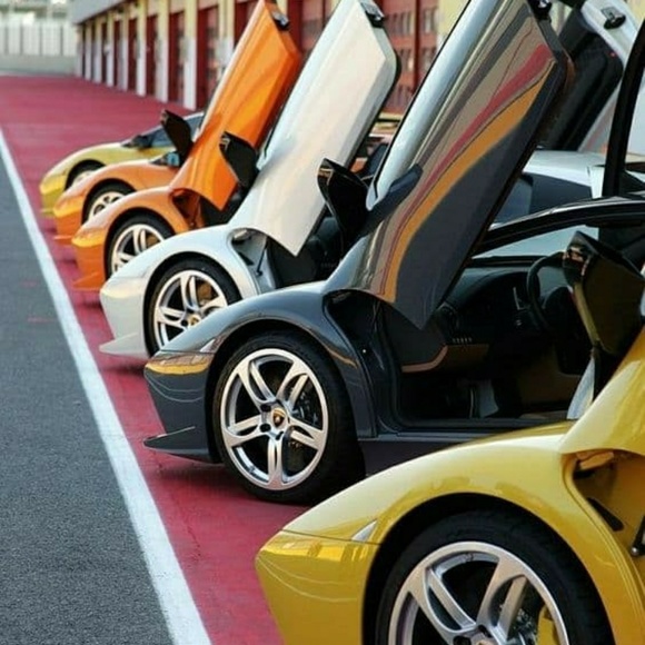 Meet your Posher, Jacquelyne - Picture 4 of 8